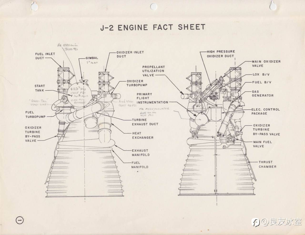 feed-image-1