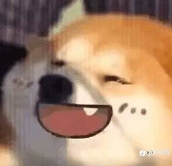 早上好