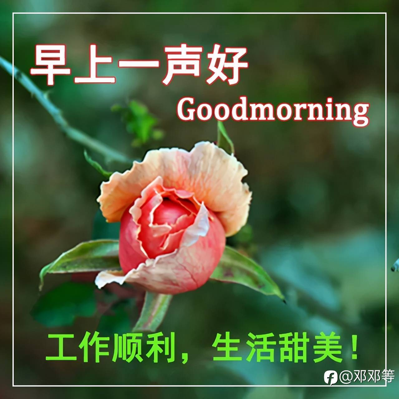 早上好