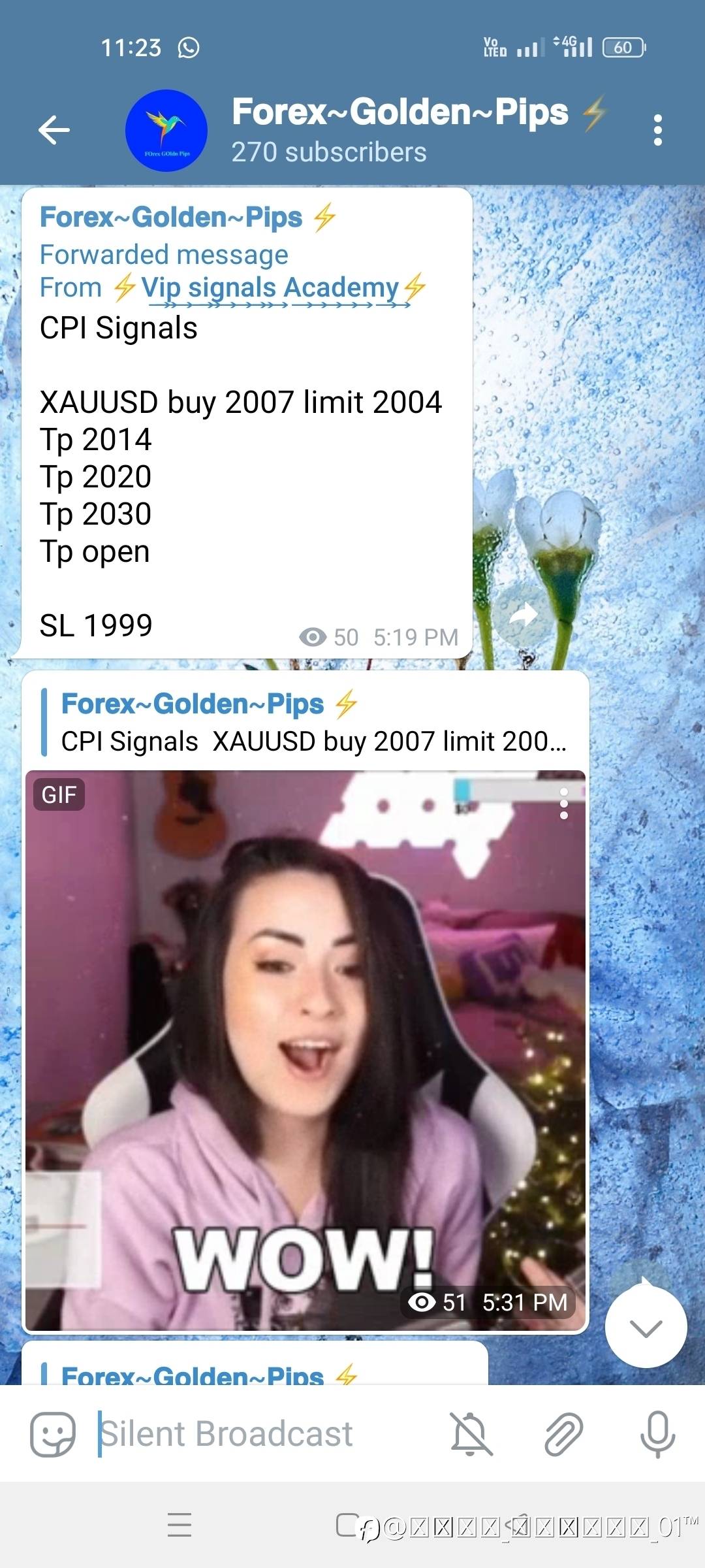 feed-image-0