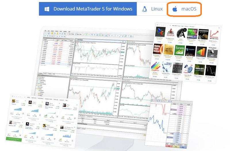 MT5 là gì? Hướng dẫn tải và sử dụng MetaTrader 5 chi tiết từ A – Z