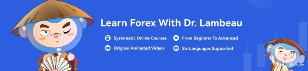Why TradingLive Is the Ultimate Platform for Learning Forex Trading
