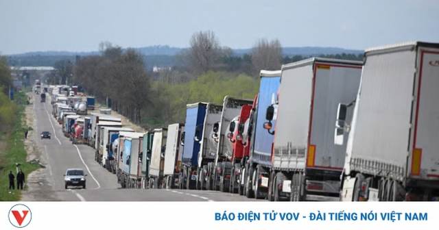 5 nước Đông Âu đạt thỏa thuận với EC giải quyết dư thừa ngũ cốc của Ukraine