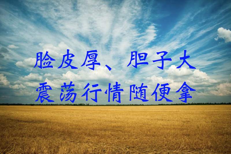 脸皮厚、胆子大，震荡行情随便拿。