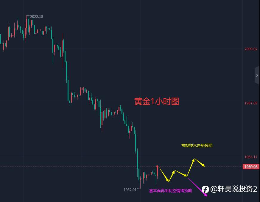 张轩昊：5.19外汇、黄金、原油分析策略