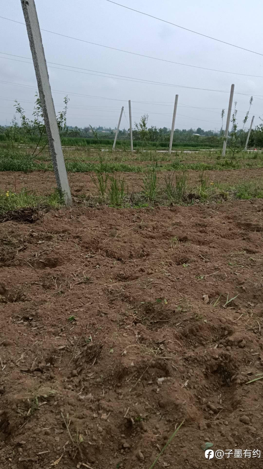 feed-image-1