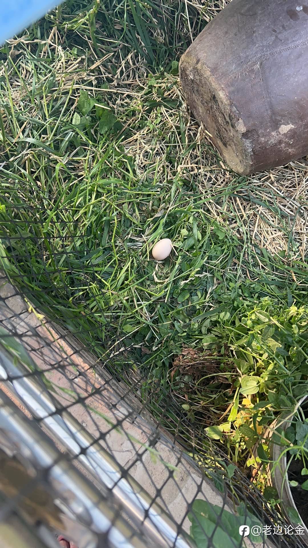 交易这玩意