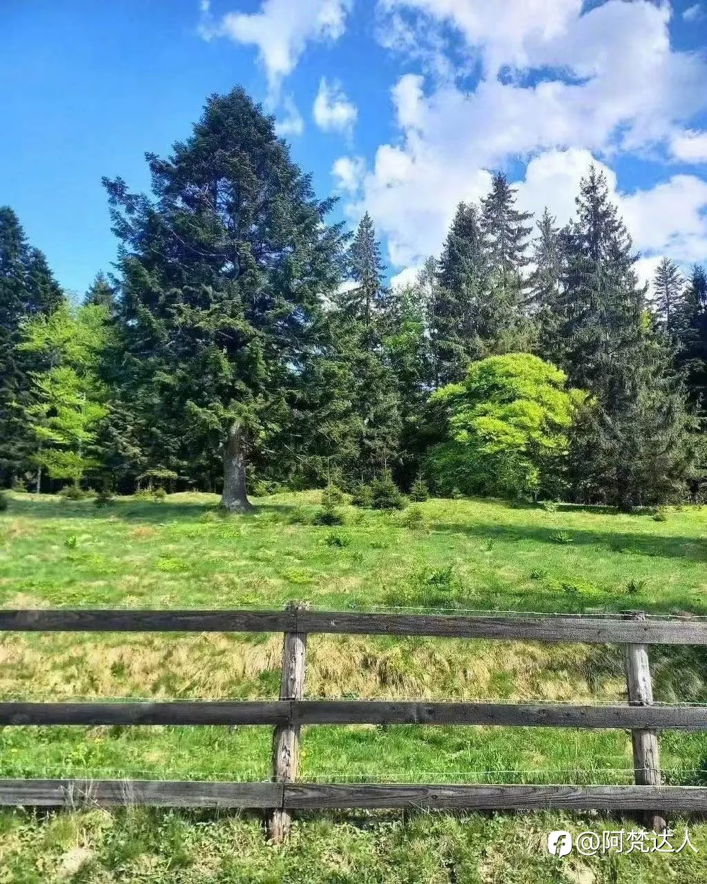 feed image