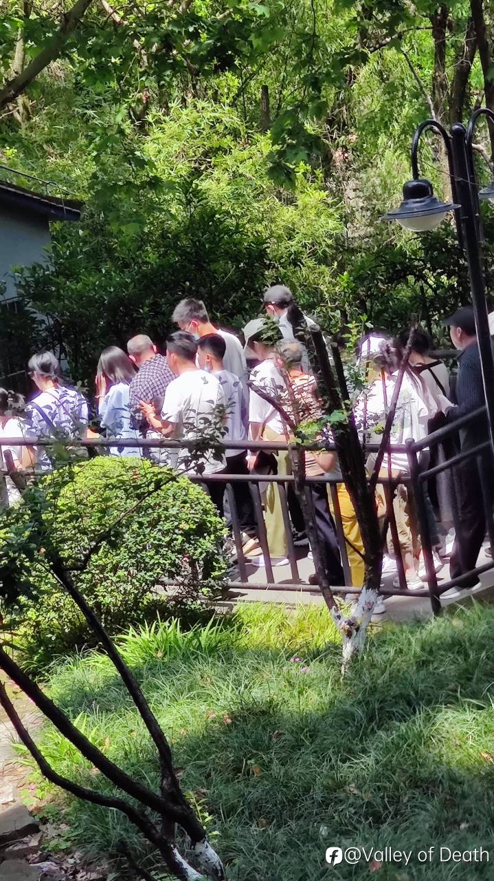 五一带你们住重庆江景！看蚂蚁窝！