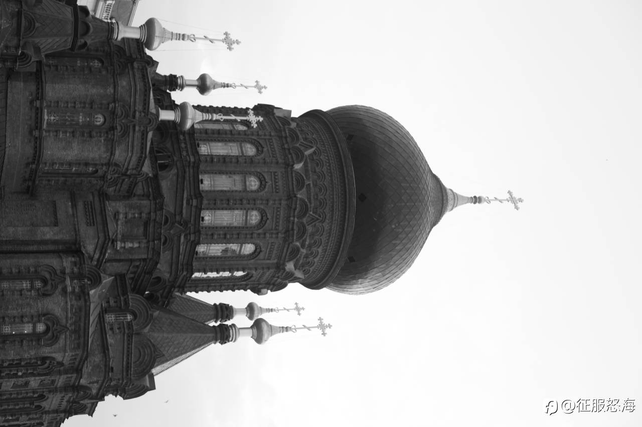 feed-image-1