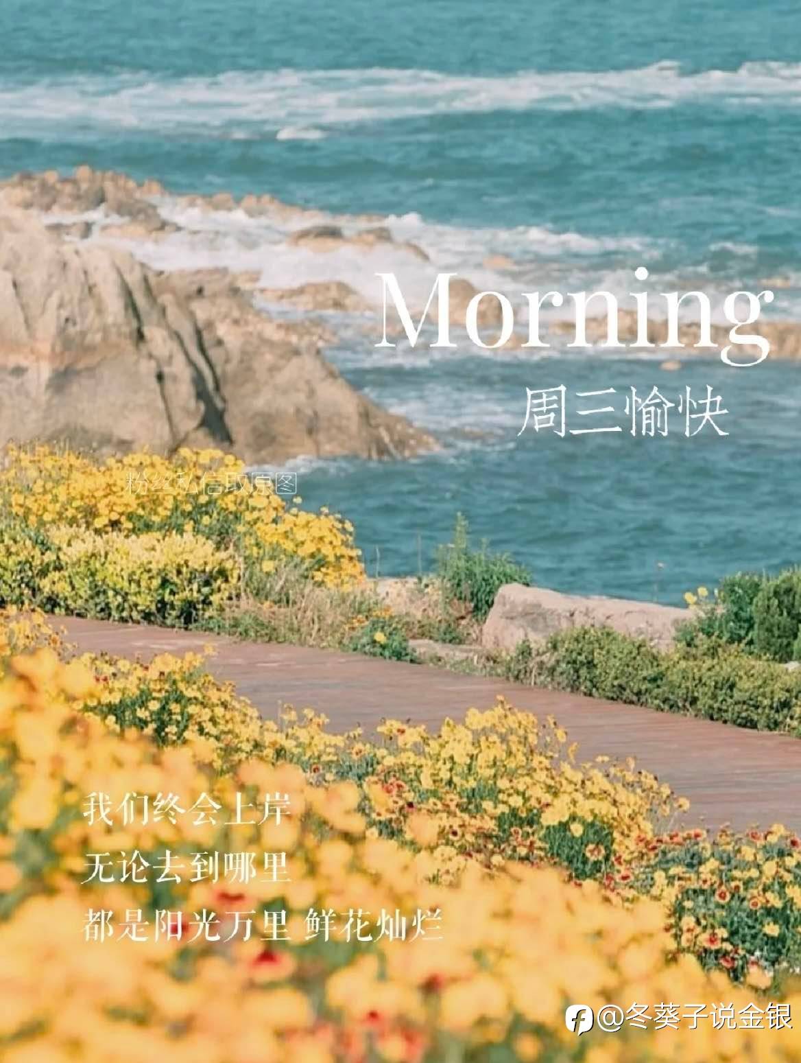 feed image