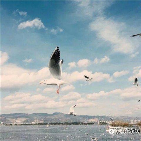 feed-image-0