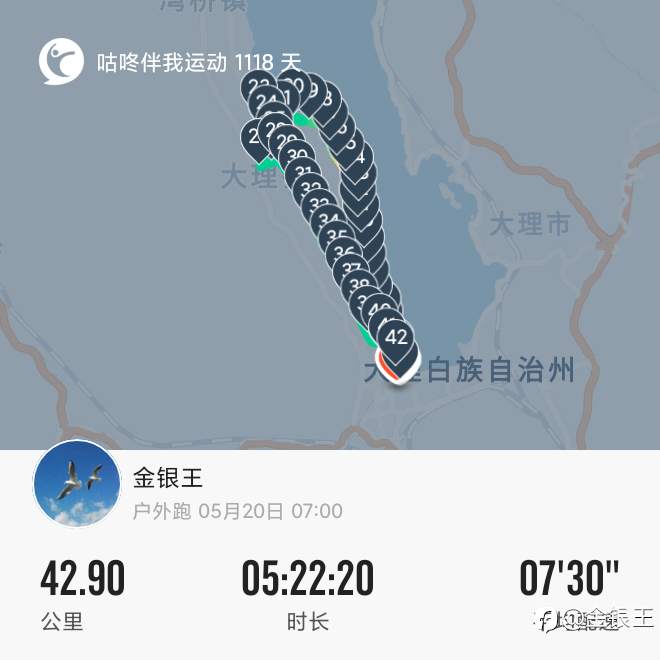 520大理马被虐