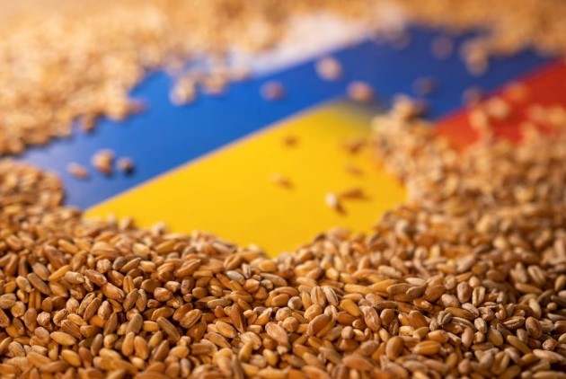 5 nước thuộc EU được phép cấm nhập khẩu ngũ cốc Ukraine