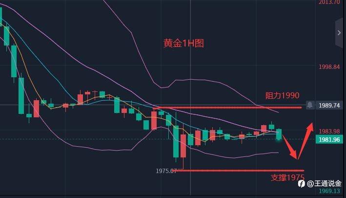 期待今晚的数据公布