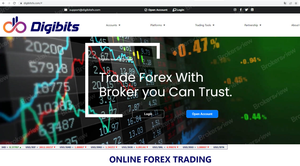 Investors be Warned: Digibits Accused of Investment Scam