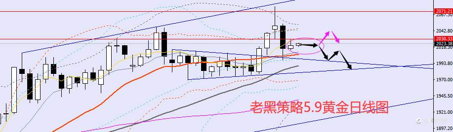 老黑策略：5.9外汇、黄金、原油分析策略