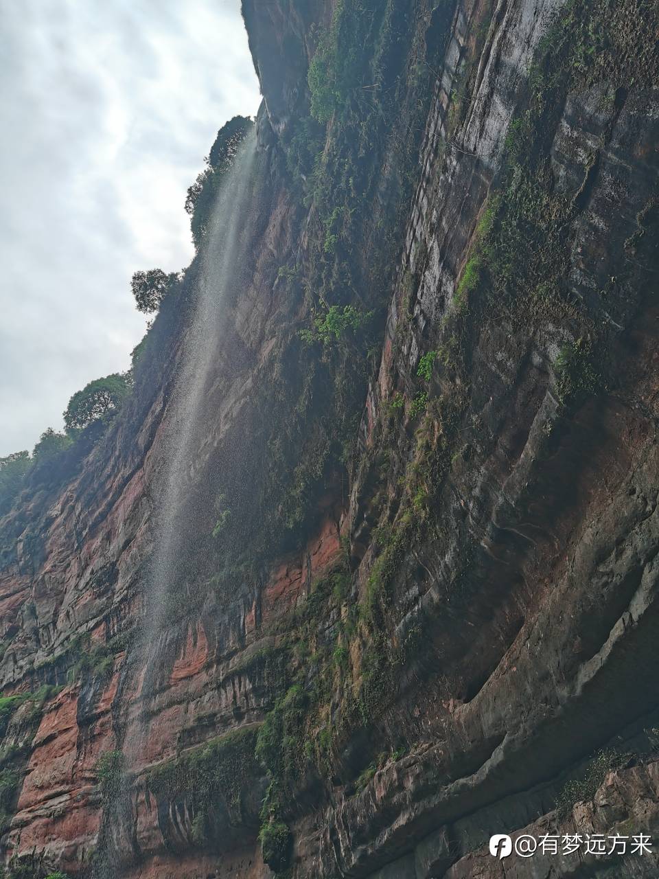 feed image