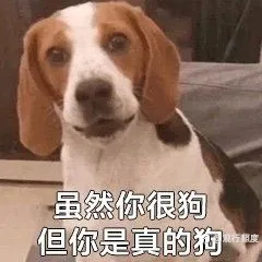 你猜我是谁？