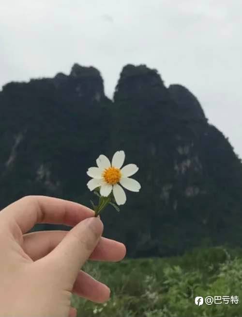 feed image