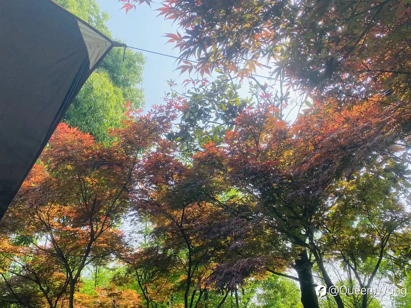 feed image