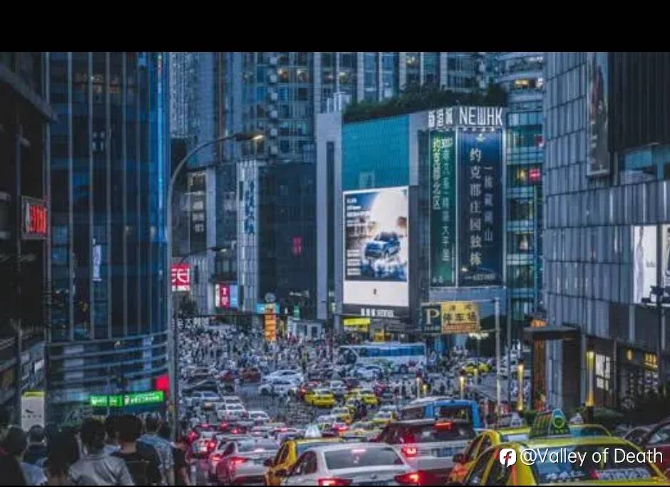 五一带你们住重庆江景！看蚂蚁窝！