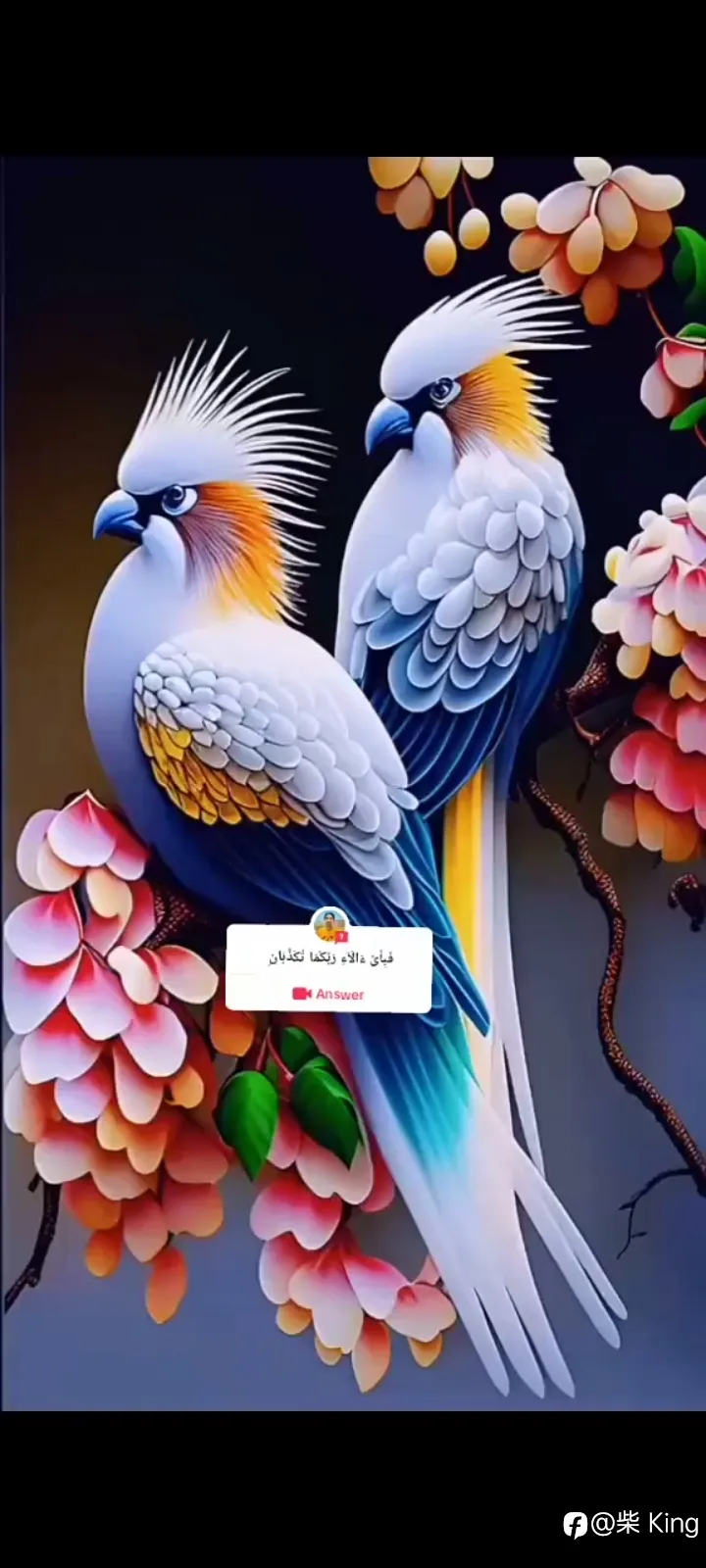 feed image