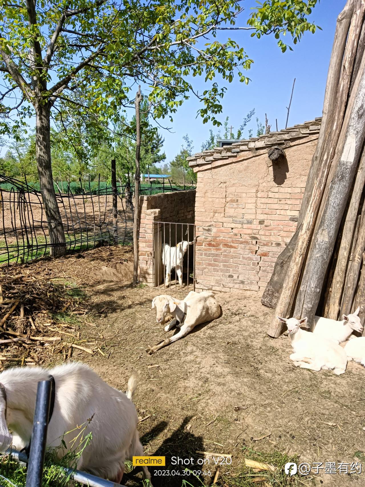 feed-image-2