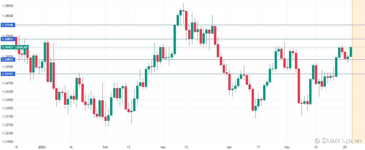 USDCAD 31/5