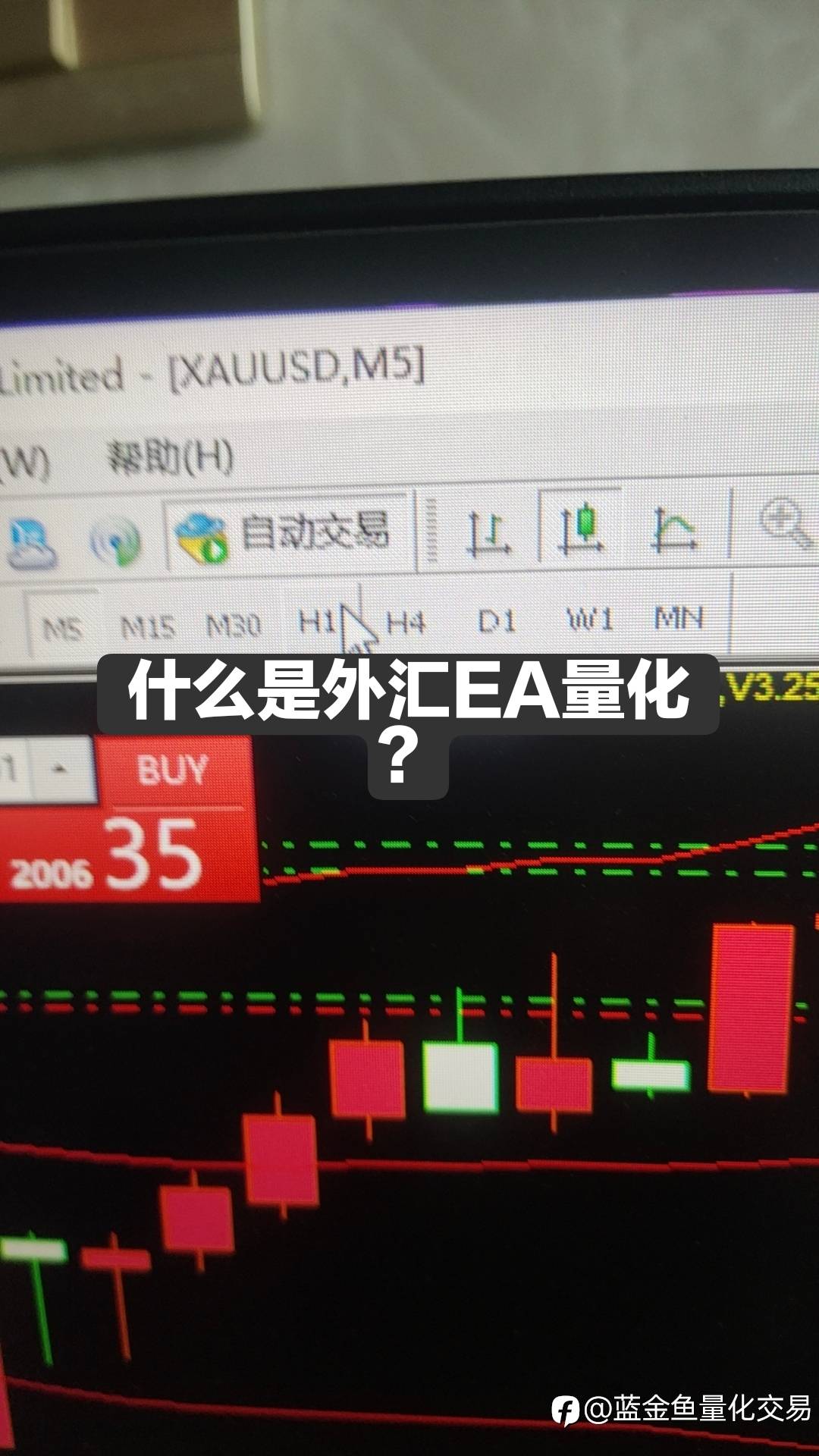 什么是外汇EA量化？