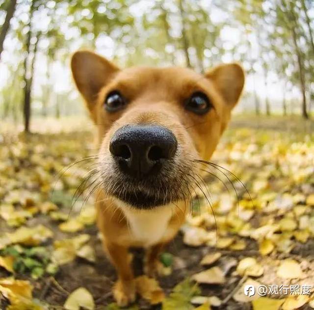 什么样才是交易中正常的孤独状态？