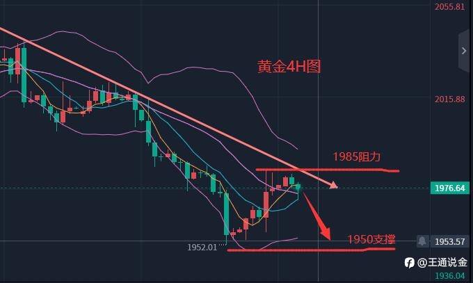 新的一周，操作思路看过来