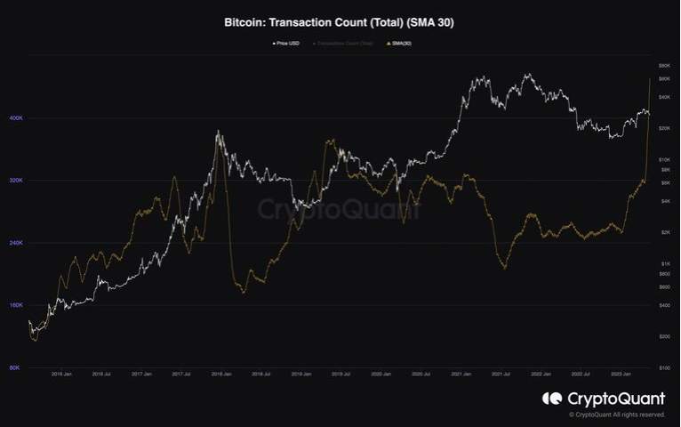 Giá Coin hôm nay 15/05: Bitcoin kết thúc 2 tuần liên tiếp trong sắc đỏ, altcoin hồi phục nhẹ, chứng khoán Mỹ chờ đợi cuộc đàm phán về trần nợ