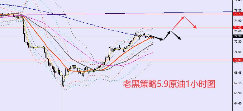 老黑策略：5.9外汇、黄金、原油分析策略