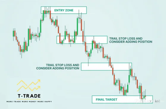 Học Cùng TTradeForex