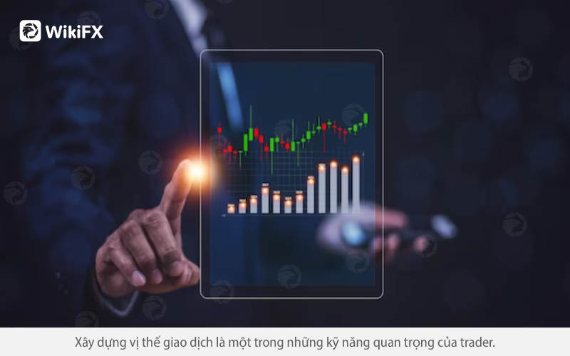 Chiến lược xây dựng vị thế giao dịch - WIKIFX VIETNAM LIVE