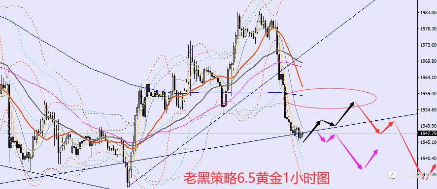 老黑策略：6.5外汇、黄金、原油分析策略