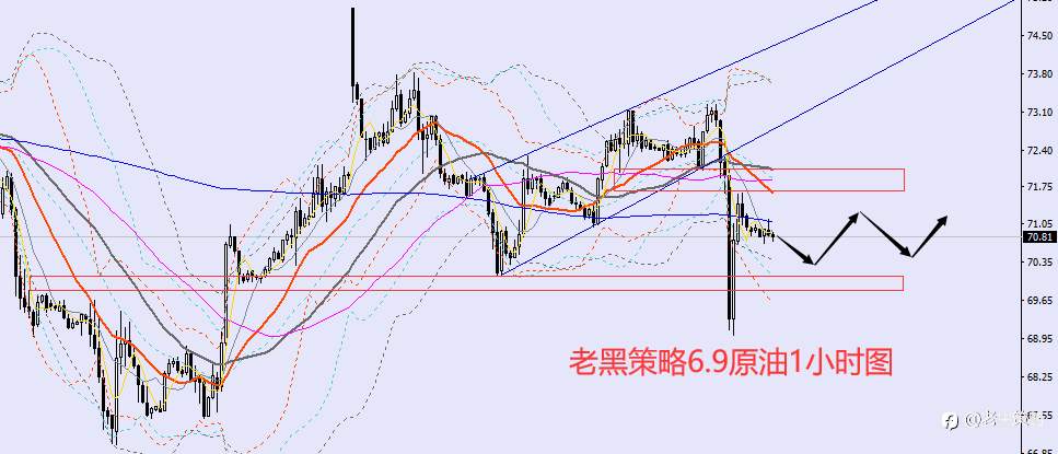 老黑策略：6.9外汇、黄金、原油分析策略