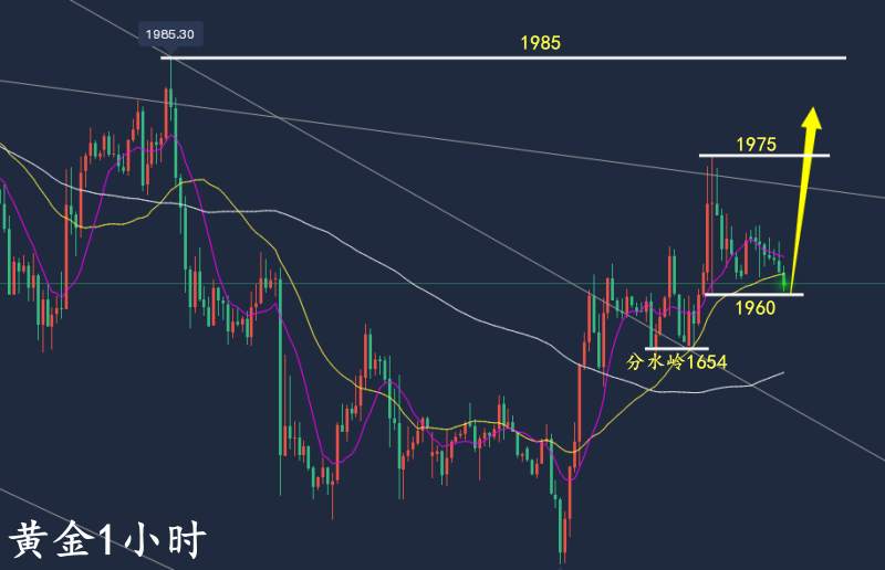 万锦晟6.1最新黄金走势分析，黄金日线连阳回踩仍低多！