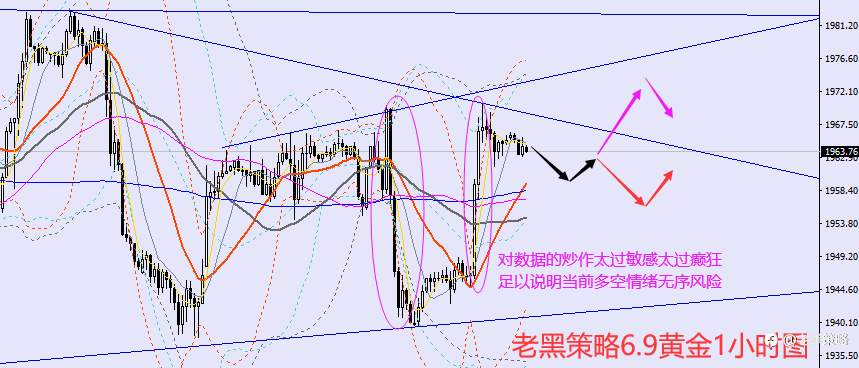 老黑策略：6.9外汇、黄金、原油分析策略