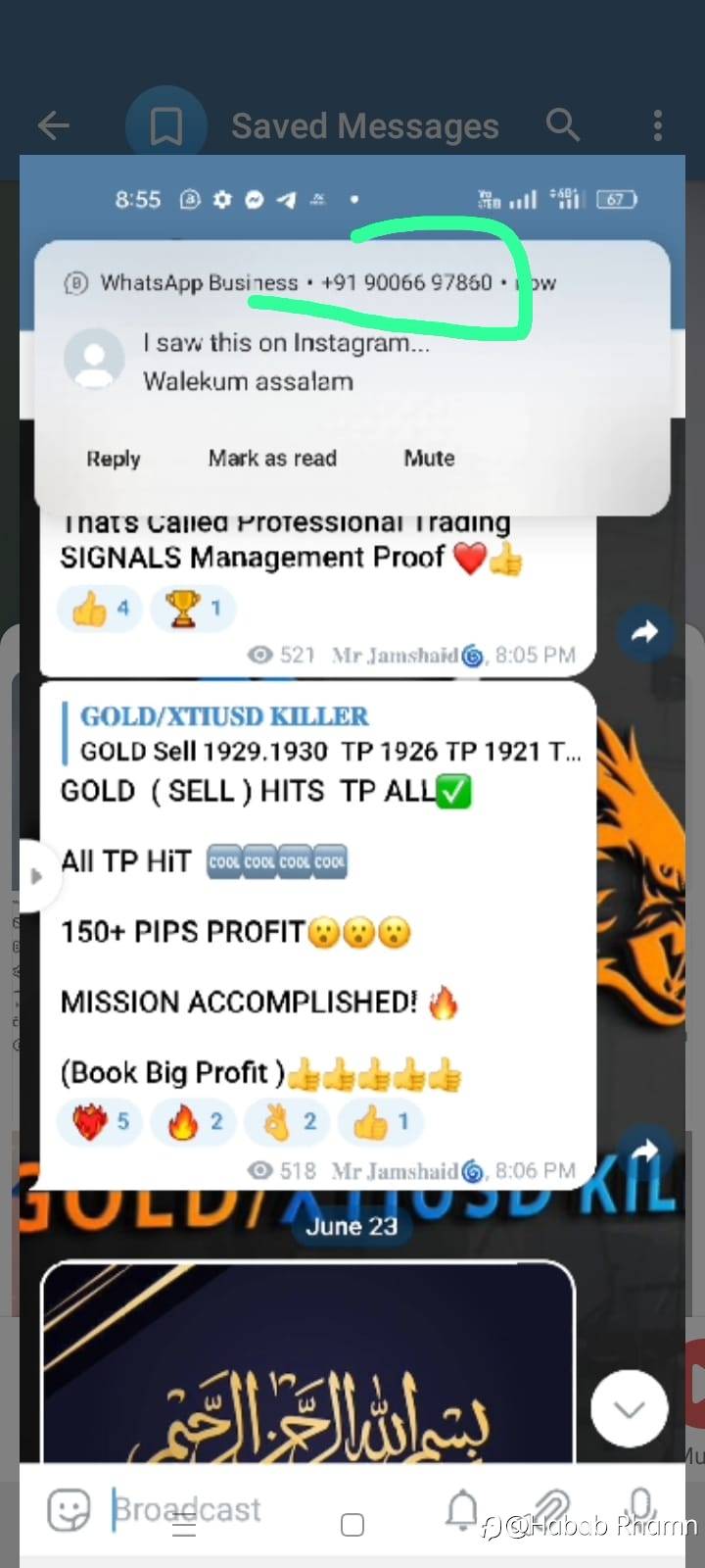 feed-image-1