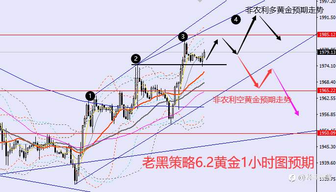 老黑策略：​6.2外汇、黄金、原油分析策略