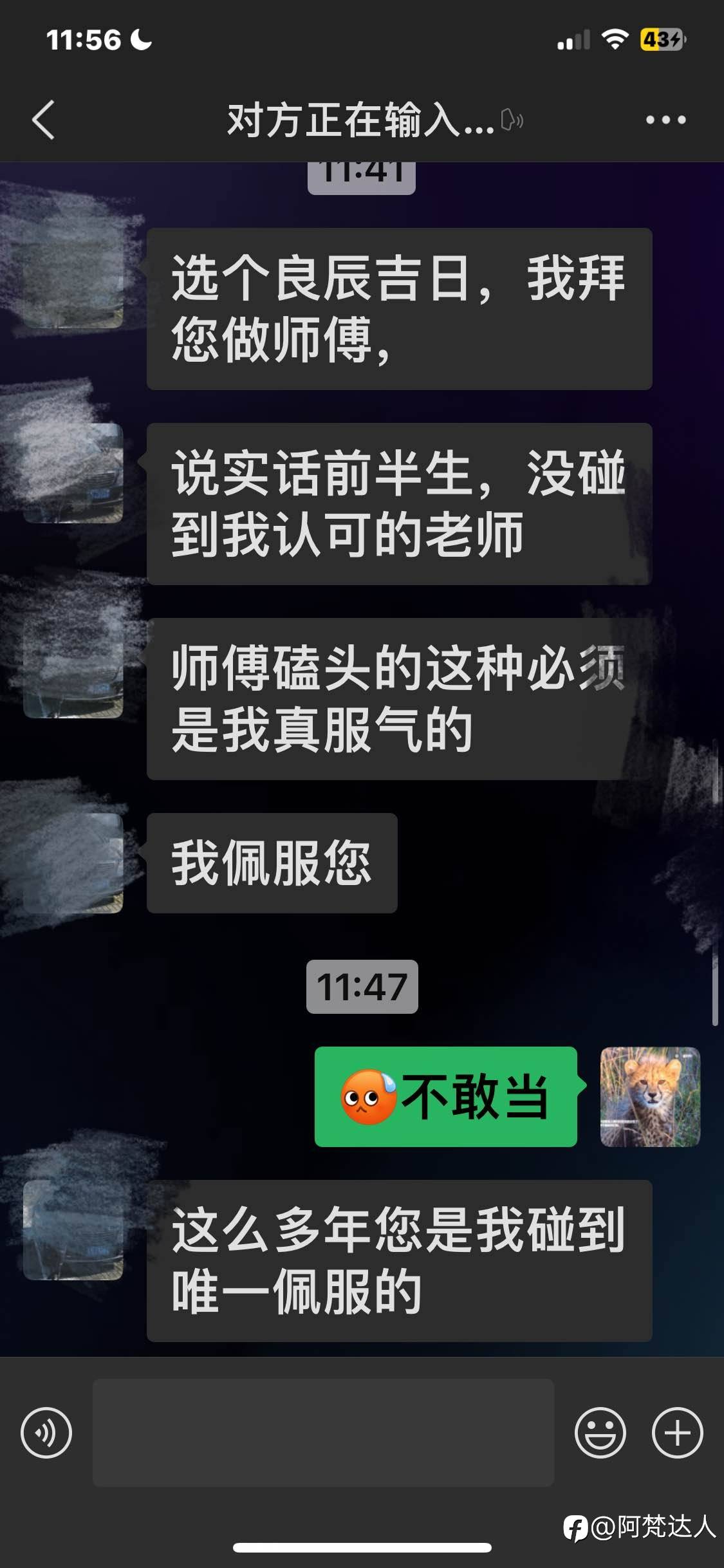 feed-image-0