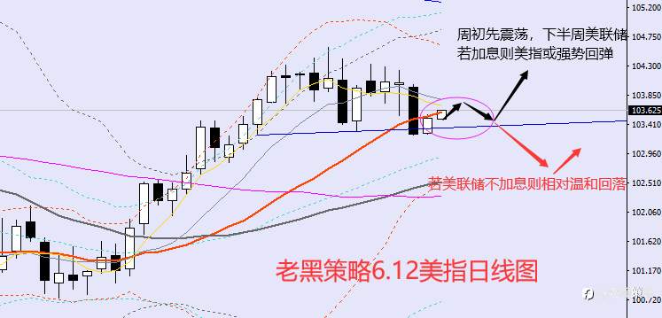 老黑策略：6.12外汇、黄金、原油分析策略