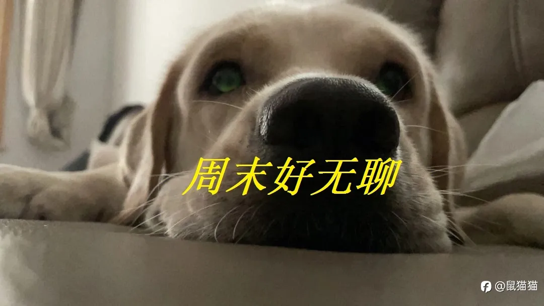 一條不中的，一定不是交易人