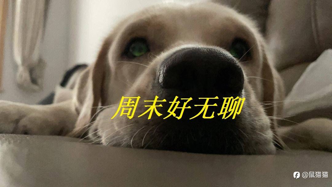 一条不中的，一定不是交易人