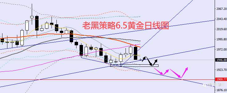 老黑策略：6.5外汇、黄金、原油分析策略
