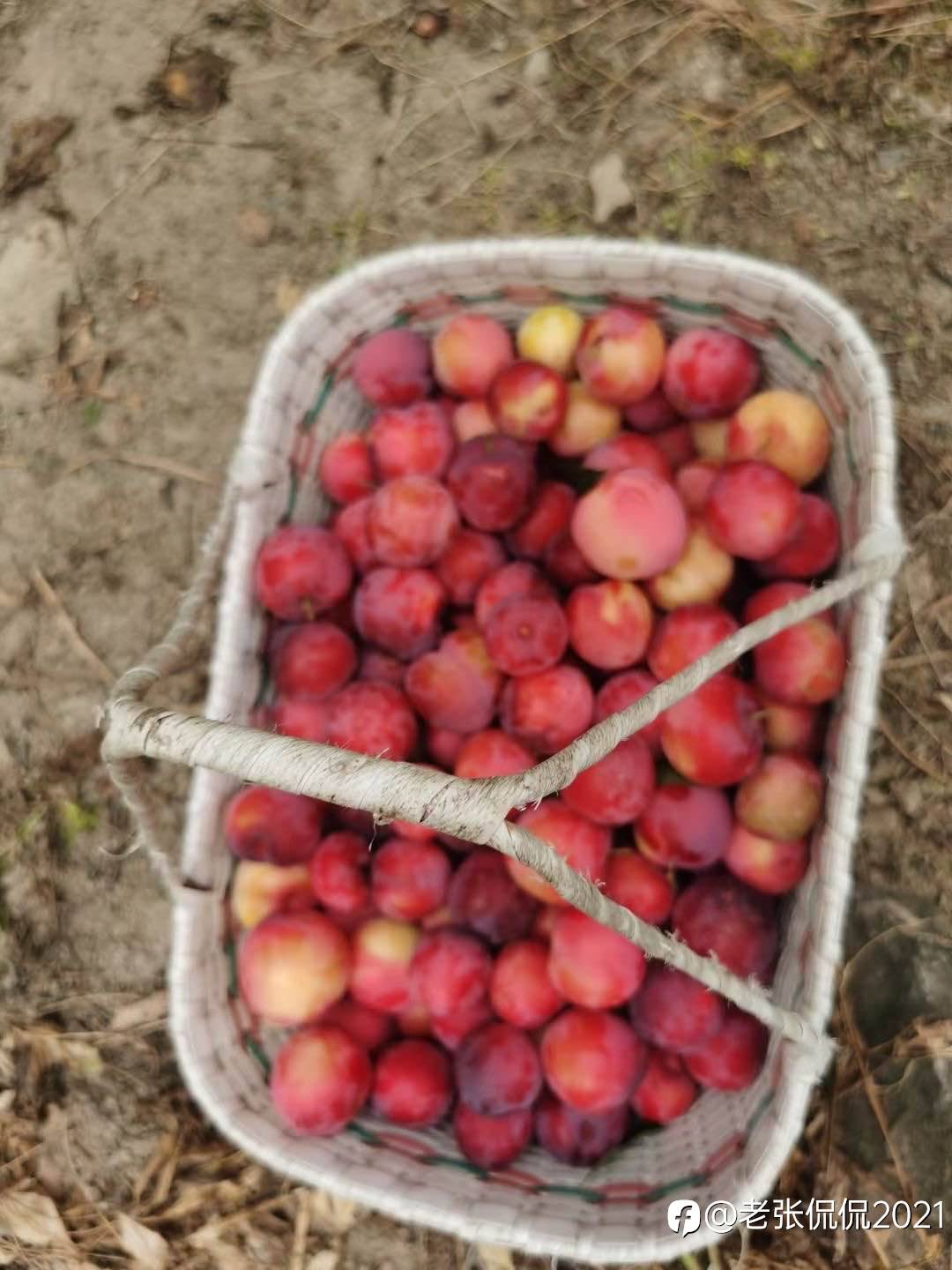 feed image