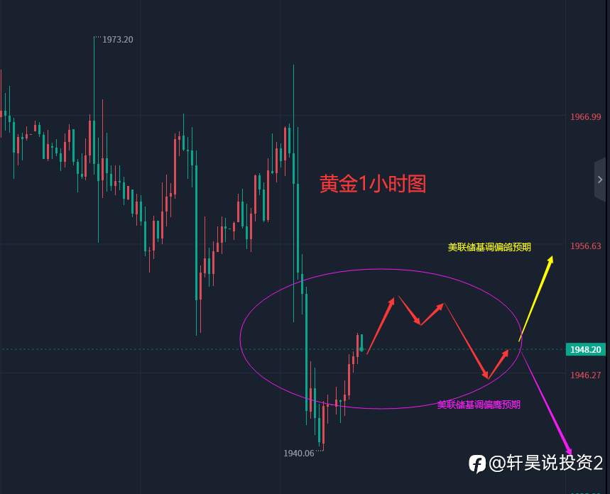 张轩昊:6.14外汇、黄金、原油分析策略