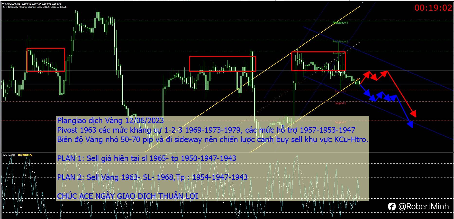 Plan Gold 12/6